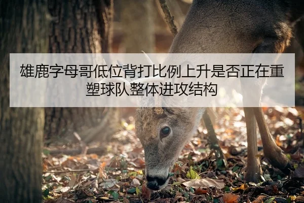 雄鹿字母哥低位背打比例上升是否正在重塑球队整体进攻结构