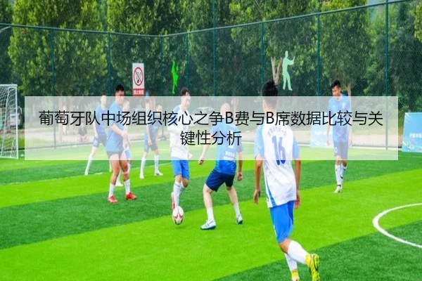 葡萄牙队中场组织核心之争B费与B席数据比较与关键性分析