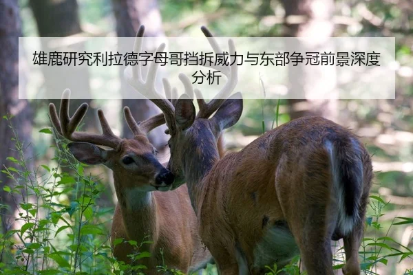 雄鹿研究利拉德字母哥挡拆威力与东部争冠前景深度分析